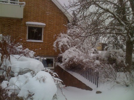 Must be global warming