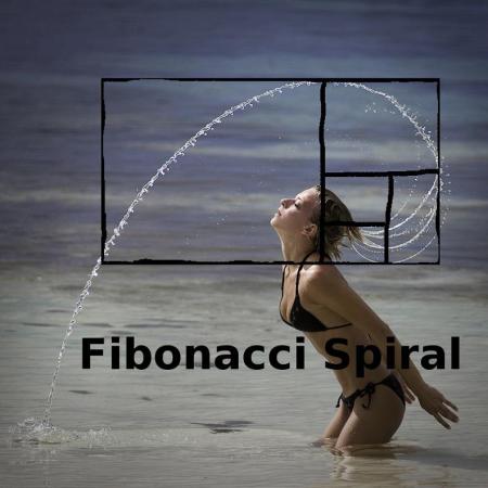 fibonacci spiral