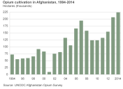 Opium cultivation in Afghanistan
