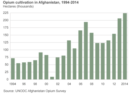 Opium cultivation in Afghanistan