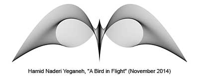 Yeganeh bird in flight