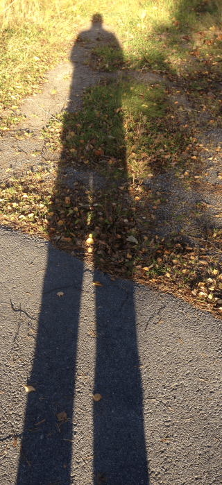 Shadow of a selfie