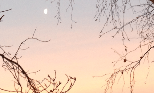 western sky before sunrise 31st dec 2015