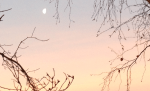 western sky before sunrise 31st dec 2015