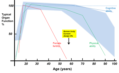 Functionality of organs with age