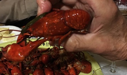Crayfish 2016
