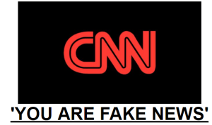 cnn-fake